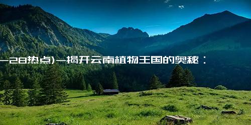 (10-28热点)-揭开云南植物王国的奥秘：你知道哪些赛过热带雨林的珍品吗？