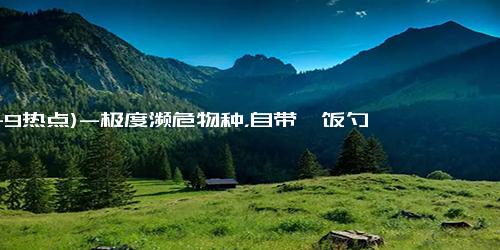 (11-9热点)-极度濒危物种，自带＂饭勺＂的萌鸟勺嘴鹬首次现身苏州