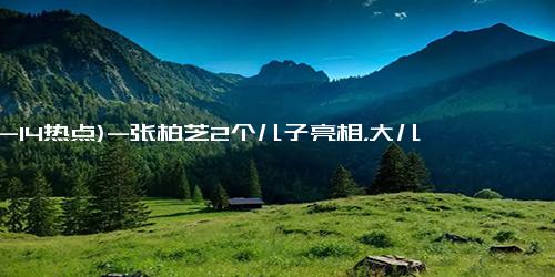 (12-14热点)-张柏芝2个儿子亮相，大儿子酷似谢霆锋，小儿子长得像谁太明显
