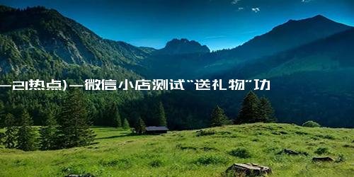 (12-21热点)-微信小店测试“送礼物”功能：可以隐藏赠物价格，暂不支持珠宝首饰