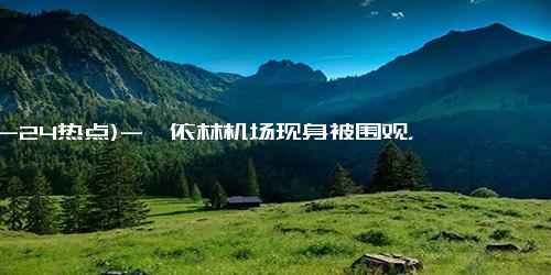(12-24热点)-蔡依林机场现身被围观，一个细节让人毛骨悚然