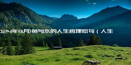 (2024年9月)鱼与水的人生哲理短句（人生和鱼的感悟的句子）