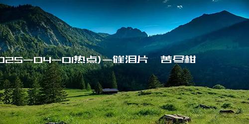 (2025-04-01热点)-催泪片《苦尽柑来遇见你》，2015年《请回答1988》后超9.5分韩剧