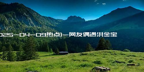 (2025-04-09热点)-网友偶遇洪金宝买菜：坐轮椅逛菜市场，猪肉摊前认真挑选