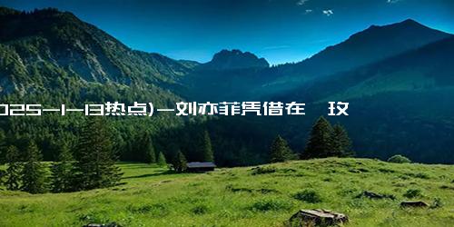 (2025-1-13热点)-刘亦菲凭借在《玫瑰的故事》中的精彩演绎，成功获封总台视后
