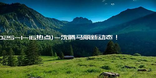 (2025-1-16热点)-沈腾马丽新动态！这次连整个娱乐圈都被震惊！