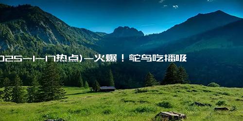 (2025-1-17热点)-火爆！鸵鸟吃播吸引超500万观众，女主播的幽默回复让人捧腹！