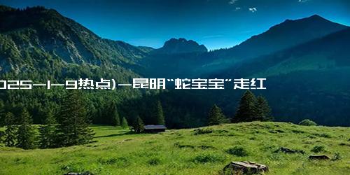 (2025-1-9热点)-昆明“蛇宝宝”走红：丑萌文化的奇妙之旅与社会反响
