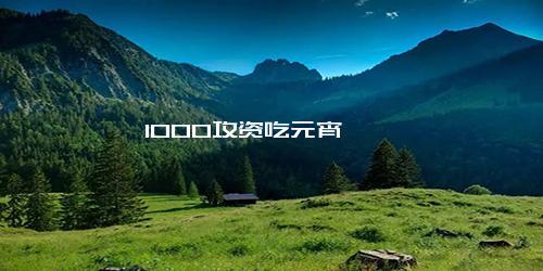 1000攻资吃元宵