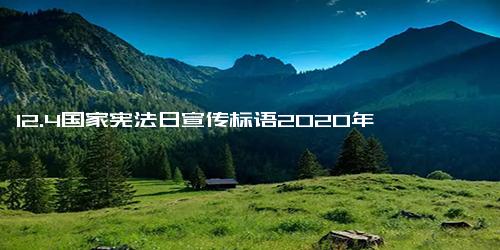 12.4国家宪法日宣传标语2020年