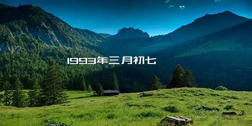 1993年三月初七