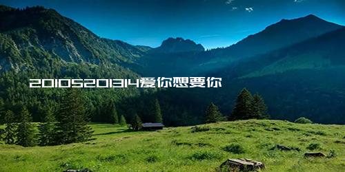 20105201314爱你想要你