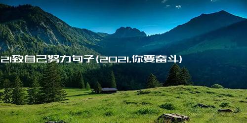 2021致自己努力句子(2021，你要奋斗)