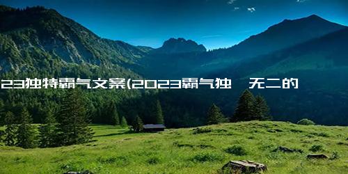 2023独特霸气文案(2023霸气独一无二的宣传口号)