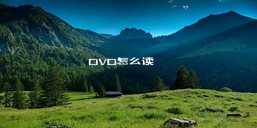 DVD怎么读