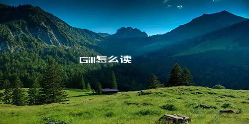 Gill怎么读