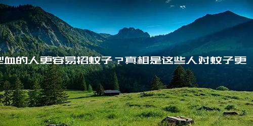 O型血的人更容易招蚊子？真相是这些人对蚊子更有吸引力