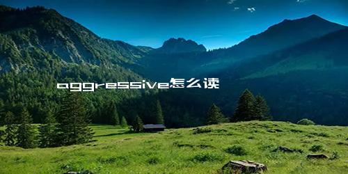 aggressive怎么读