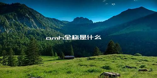 amh全称是什么