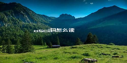 ascii码怎么读