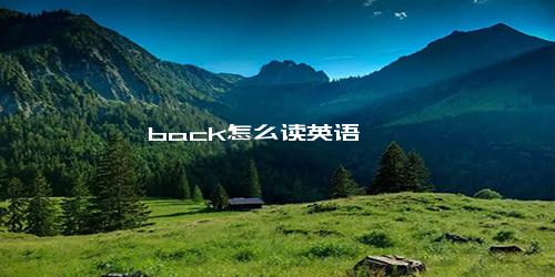 back怎么读英语