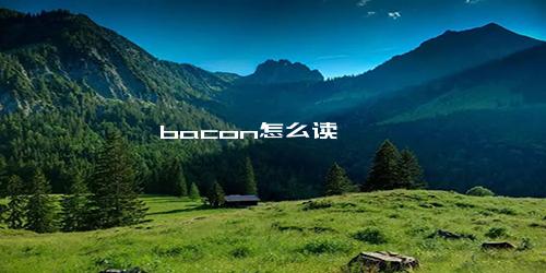 bacon怎么读