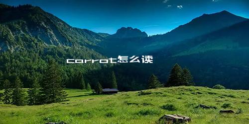 carrot怎么读