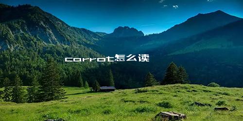 carrot怎么读