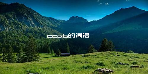 ccab的词语