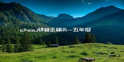 chou拼音正确么-五年级