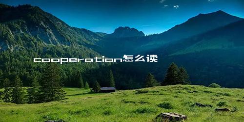 cooperation怎么读