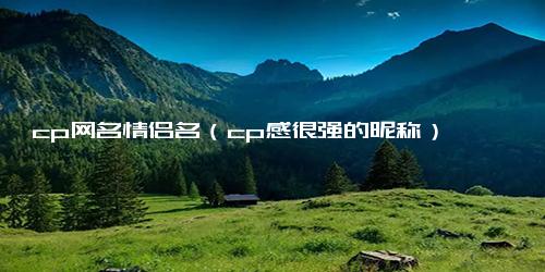 cp网名情侣名（cp感很强的昵称）