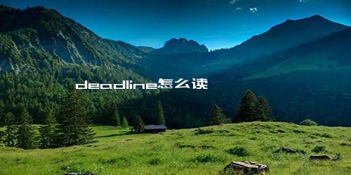 deadline怎么读