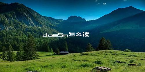 doeSn怎么读