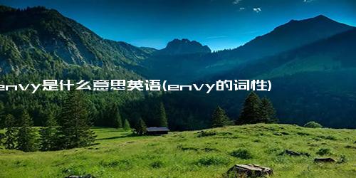 envy是什么意思英语(envy的词性)