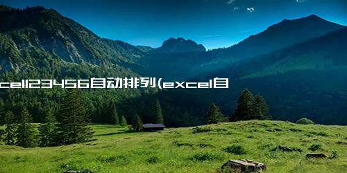 excel123456自动排列(excel自动排列)