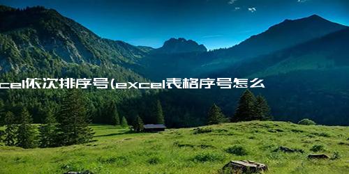 excel依次排序号(excel表格序号怎么自动排序)