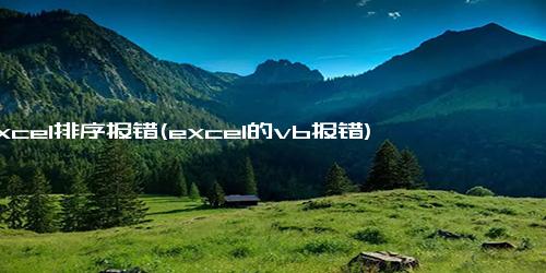 excel排序报错(excel的vb报错)