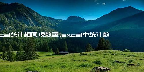 excel统计相同项数量(excel中统计数据个数)