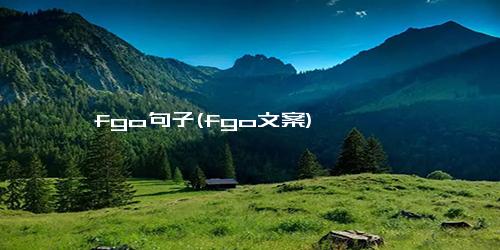 fgo句子(fgo文案)