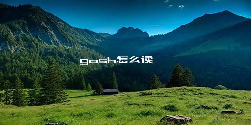 gosh怎么读