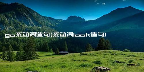 go系动词造句(系动词look造句)
