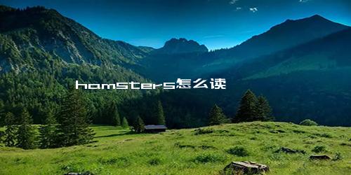 hamsters怎么读