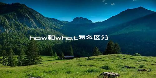 how和what怎么区分