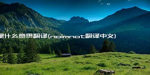 im是什么意思翻译(noimnot翻译中文)