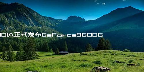 nVIDIA正式发布GeForce9600GT