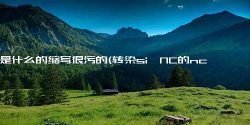 nc是什么的缩写很污的(转染si–NC的nc是什么的缩写)