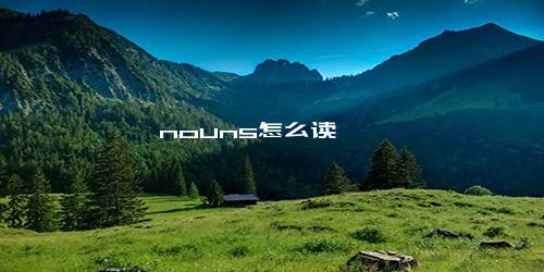 nouns怎么读