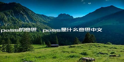 pass的意思,pass是什么意思中文