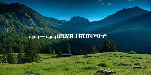 qq-qq请勿打扰的句子